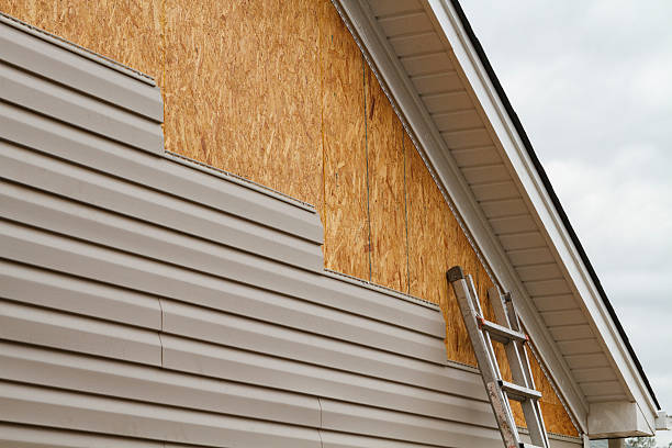 Professional Siding Inspection technician working in Cameron, WV